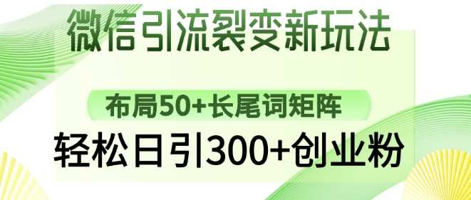 微信引流裂变新玩法：布局50+长尾词矩阵，轻松日引300+创业粉-轻金阁