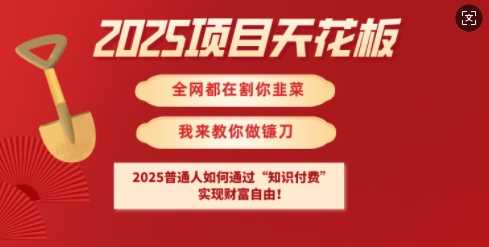 2025项目天花板普通人如何通过知识付费，实现财F自由【揭秘】-轻金阁