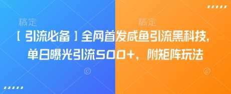 【引流必备】全网首发咸鱼引流黑科技，单日曝光引流500+，附矩阵玩法【揭秘】-轻金阁