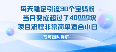每天稳定引流30个人 当月变成超过了4个W项目流程非常简单适合小白-轻金阁