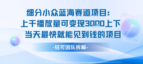 小众蓝海赛道项目：当天变现1k+适合新手操作 +适合长期玩-轻金阁