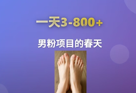 AI一键生成美女素材，一天收益3-8张，男粉项目的春天-轻金阁