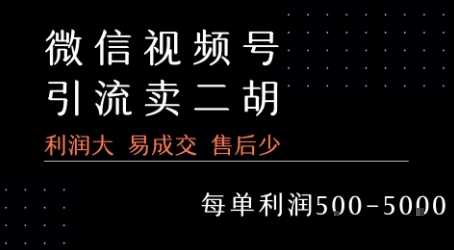 视频号卖二胡教程，利润大 易成交 售后少，一单利润5张+-轻金阁