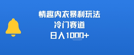 情趣内衣暴利玩法，冷门赛道，日入1k+-轻金阁