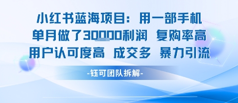 小红书蓝海项目，一部手机单月做了3W利润，小白也能月入过1W用户认可度高成交多-轻金阁