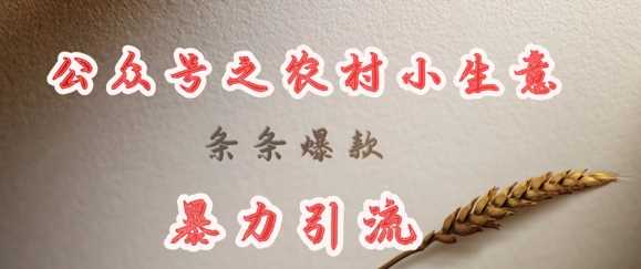 deepseek写农村小项目，条条爆款，暴力引流-轻金阁