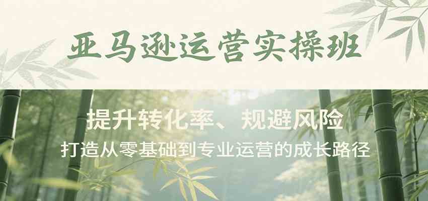 亚马逊运营实操班，提升转化率、规避风险，打造从零基础到专业运营的成长路径-轻金阁