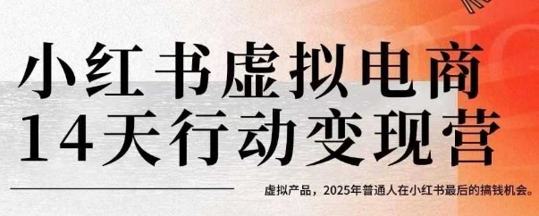 小红书虚拟电商14天变现训练营，虚拟产品，2025年普通人在小红书最后的搞钱机会-轻金阁