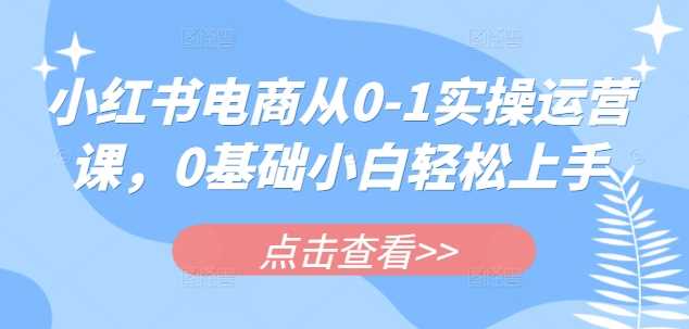 小红书电商从0-1实操运营课，0基础小白轻松上手-轻金阁