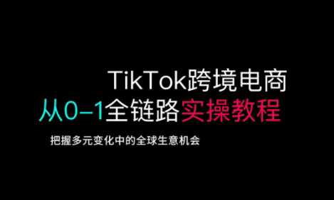 TikTok跨境电商从0-1全链路全方位实操教程，把握多元变化中的全球生意机会-轻金阁