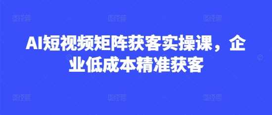 AI短视频矩阵获客实操课，企业低成本精准获客-轻金阁