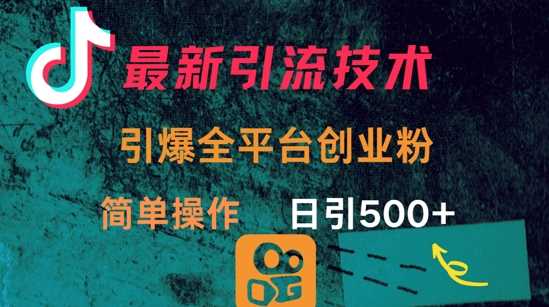 最新引流方法，引爆全平台的一个创业粉，简单操作日引300+-轻金阁