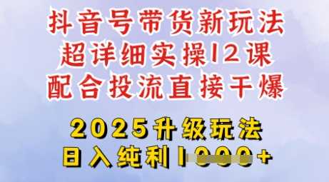 2025全新升级抖音带货玩法，一天纯利四位数，从剪辑到选品再到发布投流，超详细玩法揭秘-轻金阁