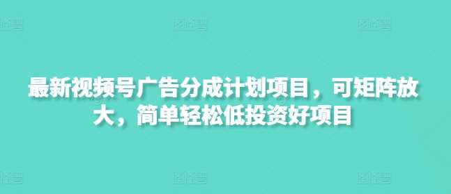 最新视频号广告分成计划项目，可矩阵放大，简单轻松低投资好项目-轻金阁