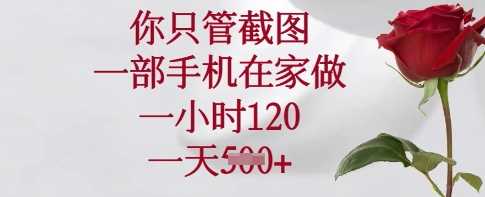 你只管截图，一部手机在家做，一小时120.一天5张【揭秘】-轻金阁
