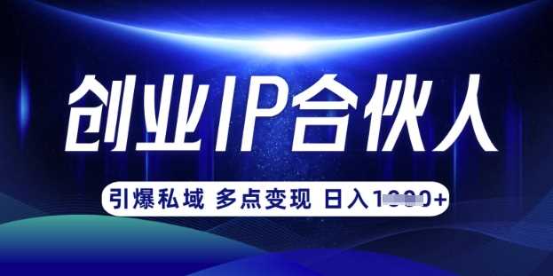 云帆·创业ip合伙人打造3.0，从0到1教你做网创，实现月入过W-轻金阁