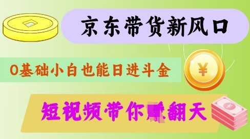 最新京东短视频带货代运营秘籍，轻松躺挣【揭秘】-轻金阁