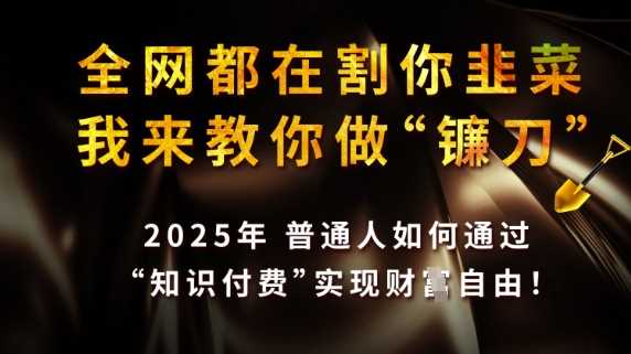 全网都在割你韭菜，我来教你做镰刀，2025普通人如何通过知识付费，实现财F自由【揭秘】-轻金阁