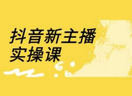 抖音新主播实操课，直播间流量运营线上实操课(18节)-轻金阁