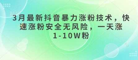 3月最新抖音暴力涨粉技术，快速涨粉安全无风险，一天涨1-10W粉-轻金阁