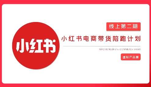 2025小红书虚拟电商实战课，从0到1打造无货源店铺，AI+爆款笔记轻松变现-轻金阁