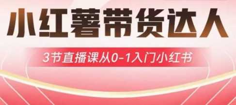 小红薯达人带货启航计划，3节直播课从0-1入门小红书-轻金阁