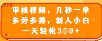 审核视频，几秒一单，多劳多得，新人小白一天轻松3张【揭秘】-轻金阁