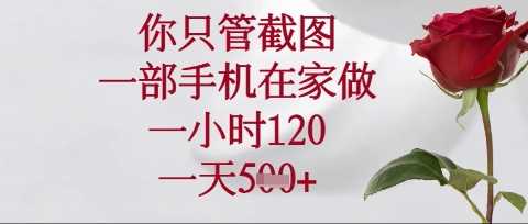 你只管截图，一部手机在家操作，一小时120.一天5张【揭秘】-轻金阁