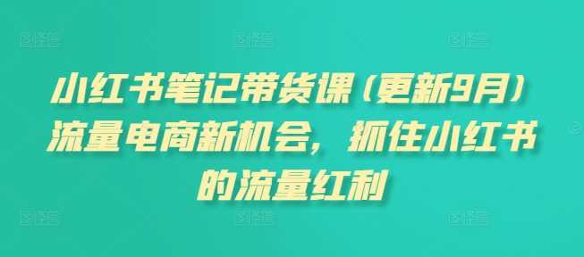 小红书笔记带货课(更新25年3月)流量电商新机会，抓住小红书的流量红利-轻金阁