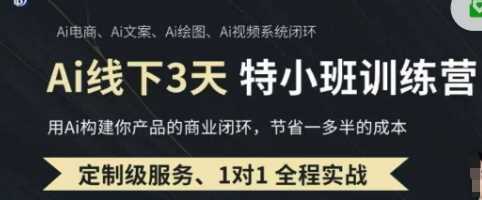 AI实操培训第20-21期线下，0基础保姆级教程，3月最新整理，企业获客、降本增效、打造超级个体-轻金阁
