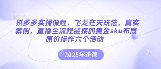 拼多多实操课程，飞龙在天玩法，真实案例，直播全流程链接的黄金sku布局原价操作六个活动-轻金阁