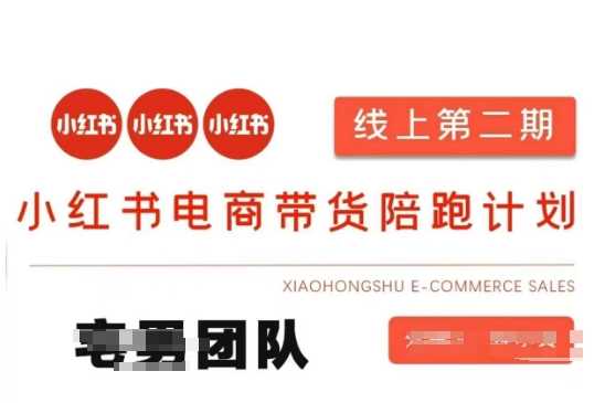 小红书电商带货课2期，月利润20个的小红书电商的有货源，无货源，虚拟产品，付费投流等整套玩法-轻金阁