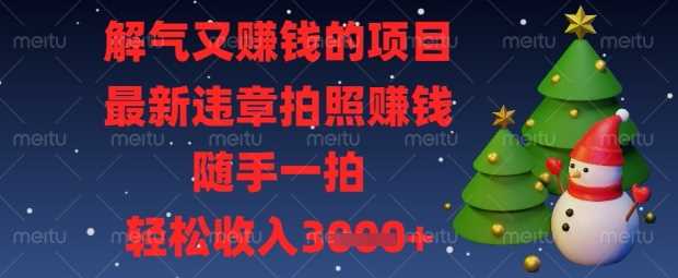 解气又挣钱的项目，最新违章拍照挣钱，随手一拍，轻松收入数张【揭秘】-轻金阁
