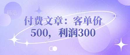 付费文章：客单价500，利润300-轻金阁