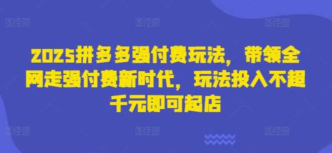 2025拼多多强付费玩法，带领全网走强付费新时代，玩法投入不超千元即可起店-轻金阁