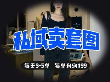 私域卖套图每天3-5单，每单利润99-轻金阁