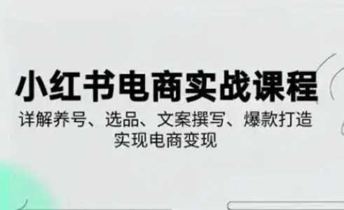 小红书从0-1实操课(2023-2025)，详解养号、选品、文案撰写、爆款打造实现电商变现-轻金阁