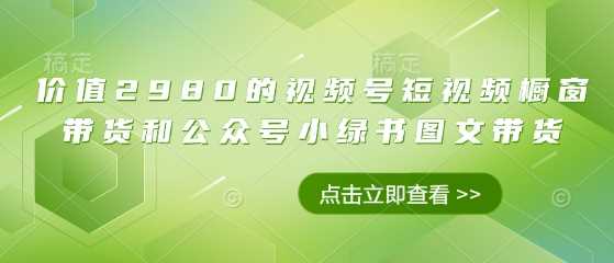 价值2980的视频号短视频橱窗带货和公众号小绿书图文带货-轻金阁