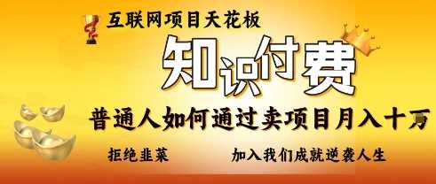 互联网项目天花板，知付付费项目，普通人如何通过卖项目月入十个，拒绝韭菜【揭秘】-轻金阁