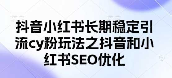 抖音小红书长期稳定引流cy粉玩法之抖音和小红书SEO优化-轻金阁