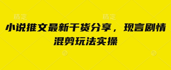 小说推文最新干货分享，现言剧情混剪玩法实操-轻金阁