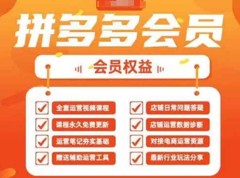2025拼多多运营实战课，40节全流程教学，覆盖拼多多运营全链路-轻金阁