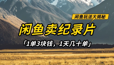 闲鱼卖纪录片1单3块钱，1天几十单，项目稳定有潜力-轻金阁