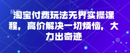 淘宝付费玩法无界实操课程，高价解决一切烦恼，大力出奇迹-轻金阁