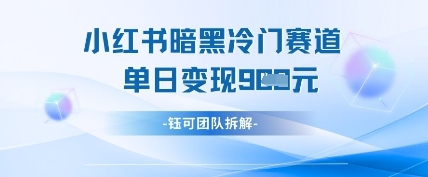 小红书冷门”暗黑”赛道，单日收益多张-轻金阁