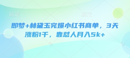 即梦+林黛玉完爆小红书商单，3天涨粉1千，靠怼人月入5k+-轻金阁