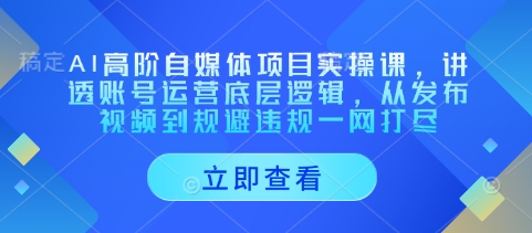 AI高阶自媒体项目实操课，讲透账号运营底层逻辑，从发布视频到规避违规一网打尽-轻金阁