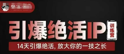 引爆绝活IP训练营，14天引爆绝活，放大你的一技之长-轻金阁