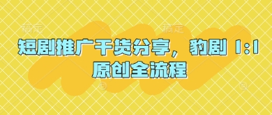 短剧推广干货分享，豹剧 1:1原创全流程-轻金阁