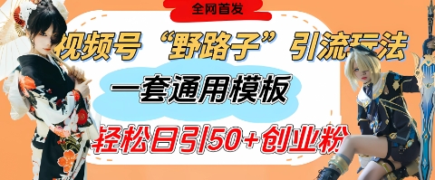 视频号“野路子”玩法，评论区疯狂截流，一套模板单日单号引流50+创业粉-轻金阁